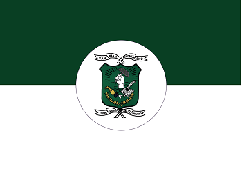 Bandera_San_Juan_Nepomuceno_-_Bolivar.png